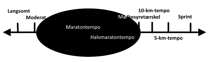 Fordeling af træningsintensitet